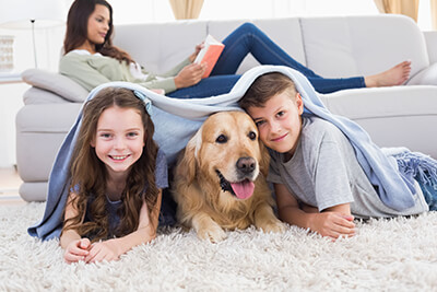 dog-family-rug